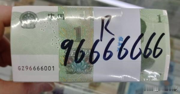 191恐龙号捆币96666666
