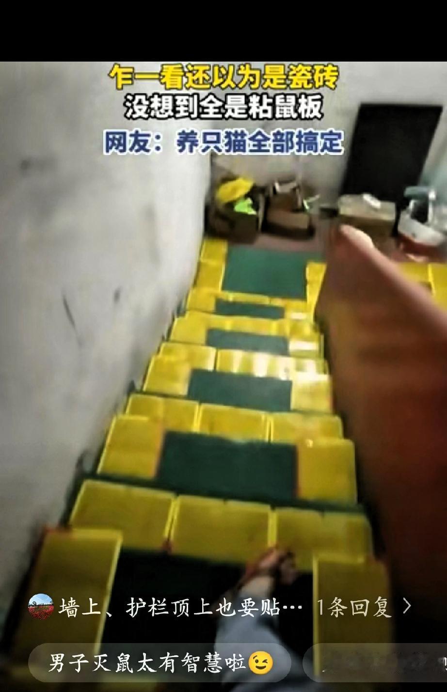 “人怎么可以这么聪明！”广东东莞，一男子因地下室老是被老鼠偷吃杂物垃圾，男子忍无