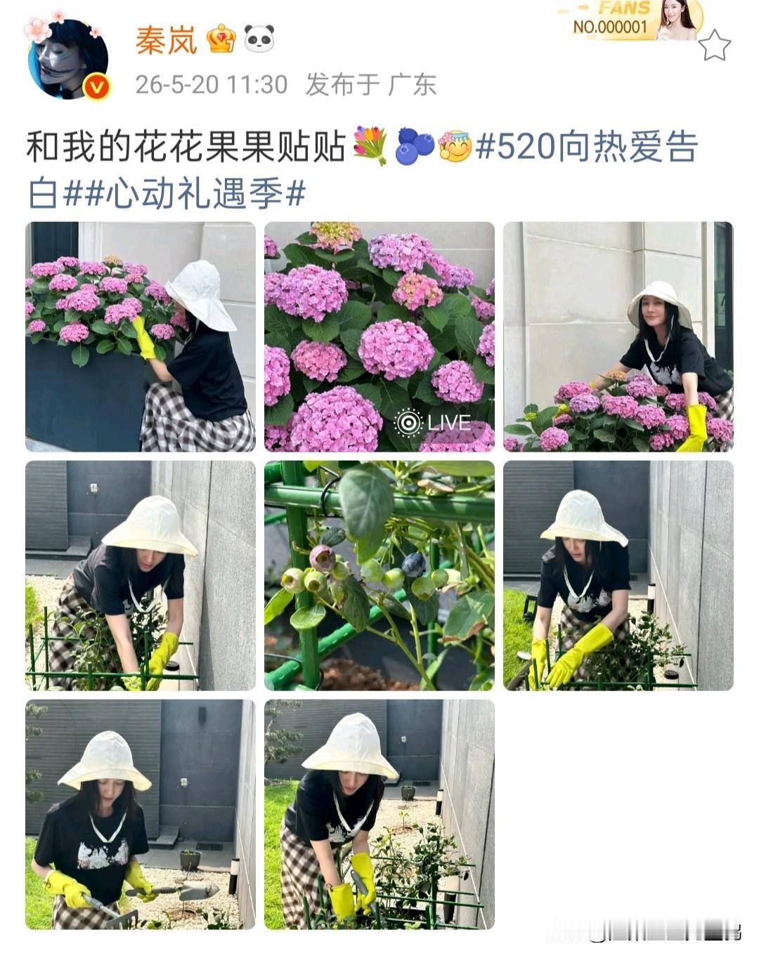 520秦岚晒日常！变身园丁打理小院，人比花娇状态太好520当天，秦岚晒出一组