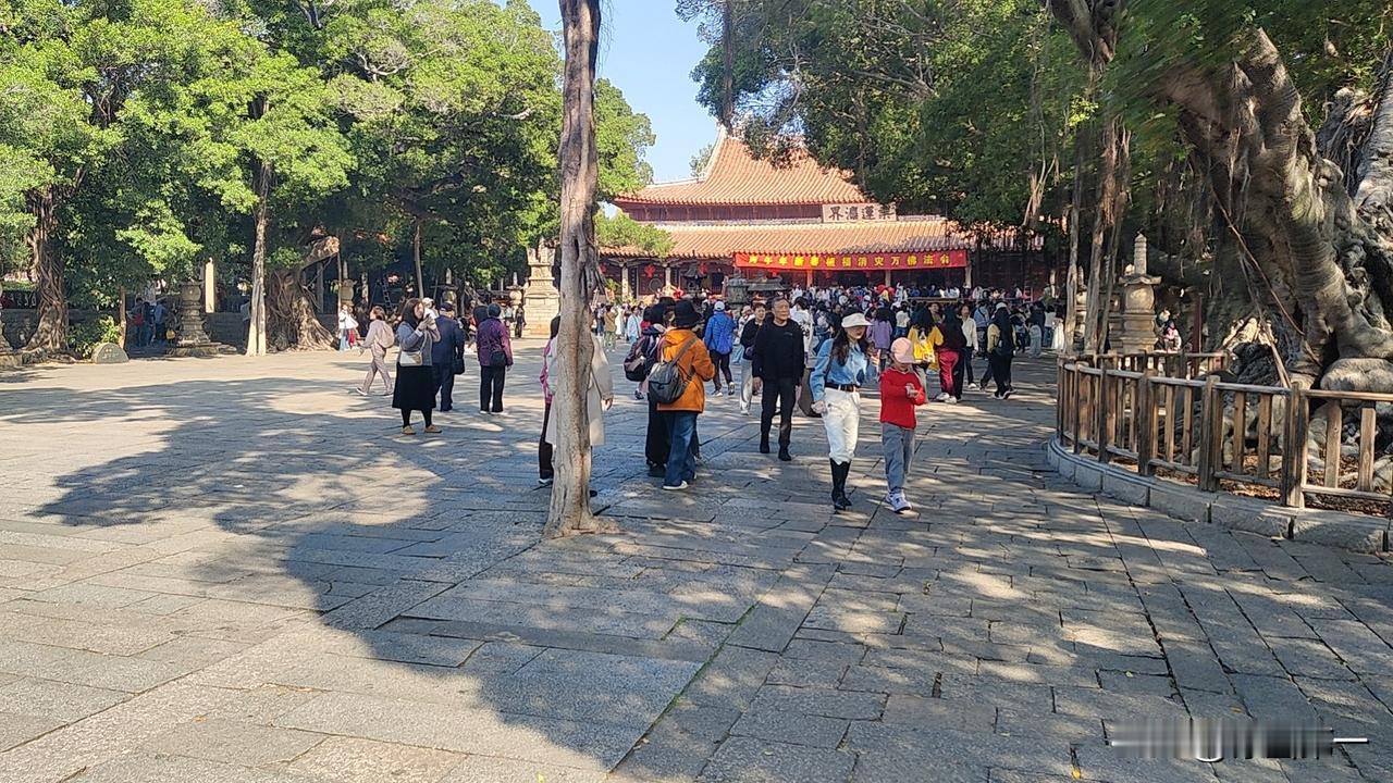 为什么医生说：人的一生要有一个错误的嗜好？人这一生，若事事清醒、步步正确，反