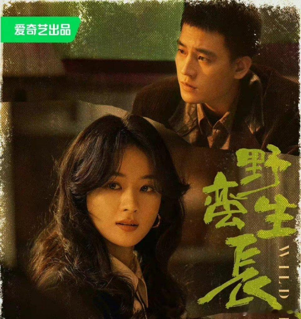 欧豪现在成了最佳二番专业户了，自从赵丽颖的风吹半夏火了之后，后面的白鹿杨幂紫正剧