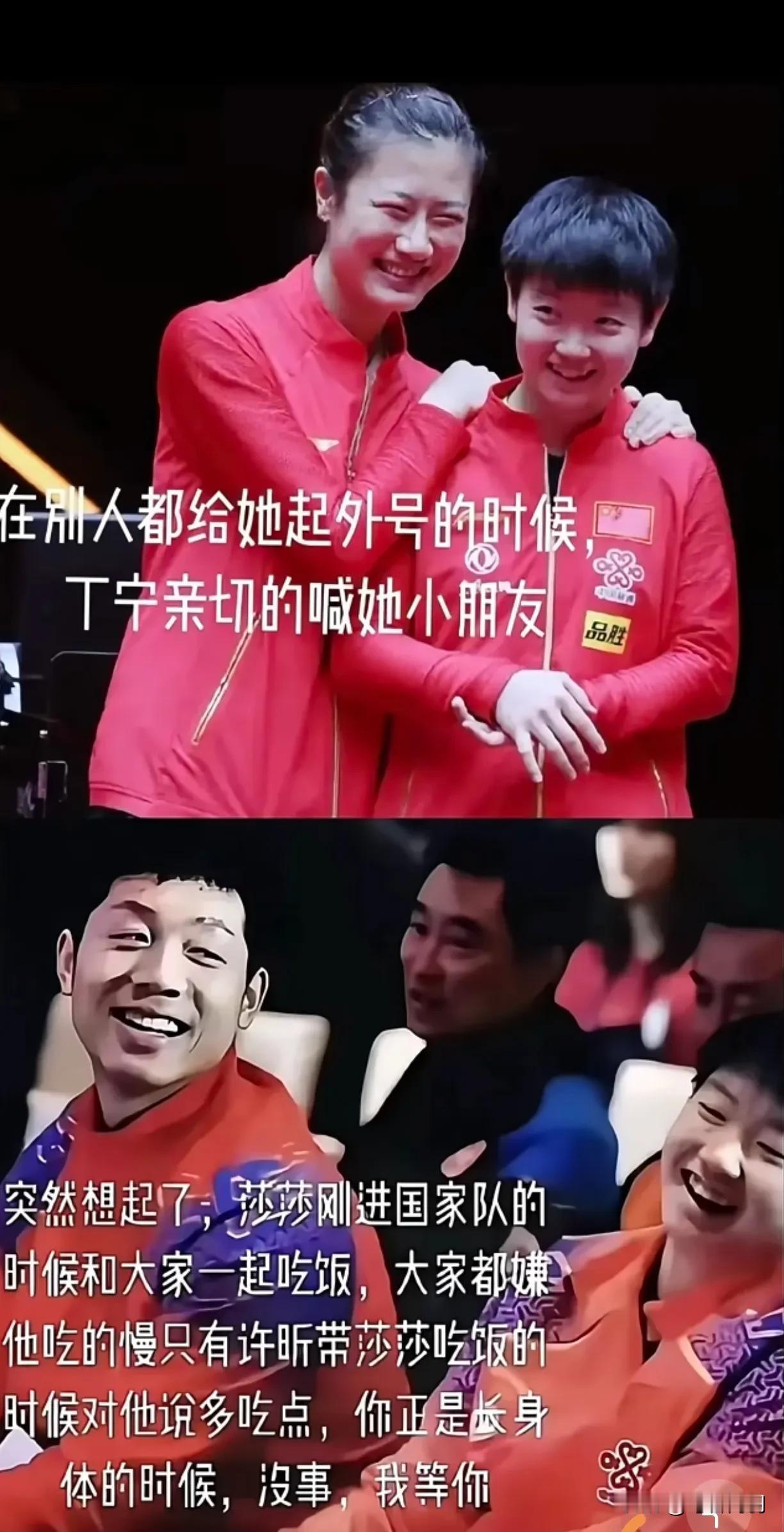 真正的前辈，总是善良！龙队、许全面、宁姐、枣姐，这些前辈对莎莎还是很不错！现在
