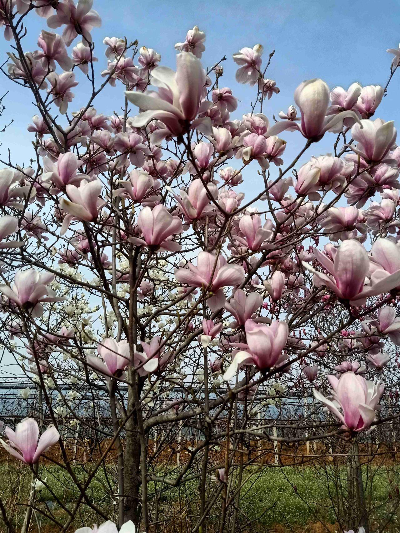 我的今日状态：🏝️旅行度假我这里的天气：🍂微风