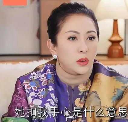 向太陈岚曾吐槽：“我最膈应那种装纯耍心机的女演员，之前有个半红不紫的小花，头回见
