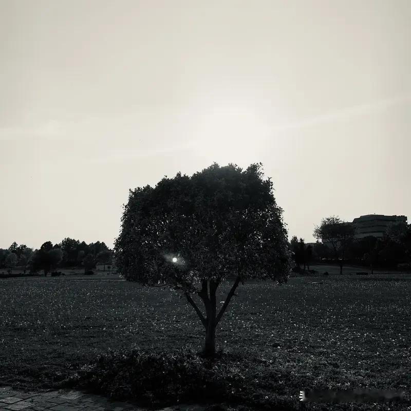 牛弹琴：新德里和伊斯兰堡爆炸很蹊跷新德里和伊斯兰堡相隔不到一天发生爆炸，这事真