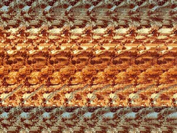 三维立体图欣赏，慢慢看，评论区告诉我，每张图隐藏着什么秘密？上期答案：1