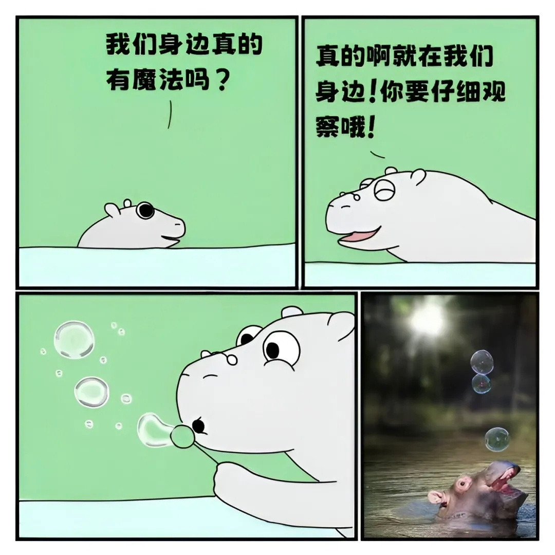 一旦热爱生活，生活就会‮你教‬治愈一‮的切‬魔法memes​​​
