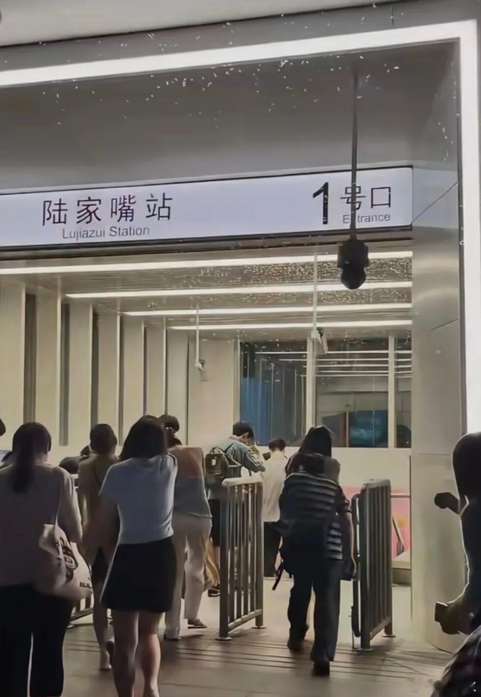 陆家嘴白蚁飞舞上海地铁陆家嘴站，聚集大量白蚁的视频，在上海人的朋友圈刷屏了。不是