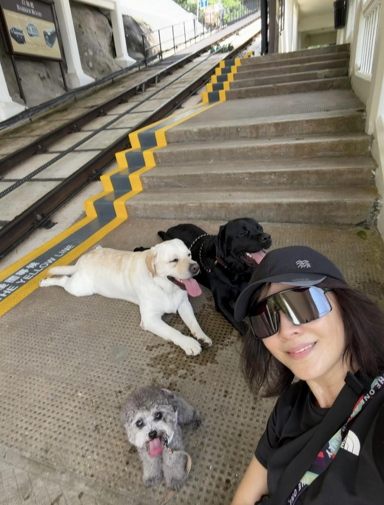 8月16日，刘嘉玲晒生活照，她带着三只狗狗爬山散步的画面。刘嘉玲与狗狗在台阶