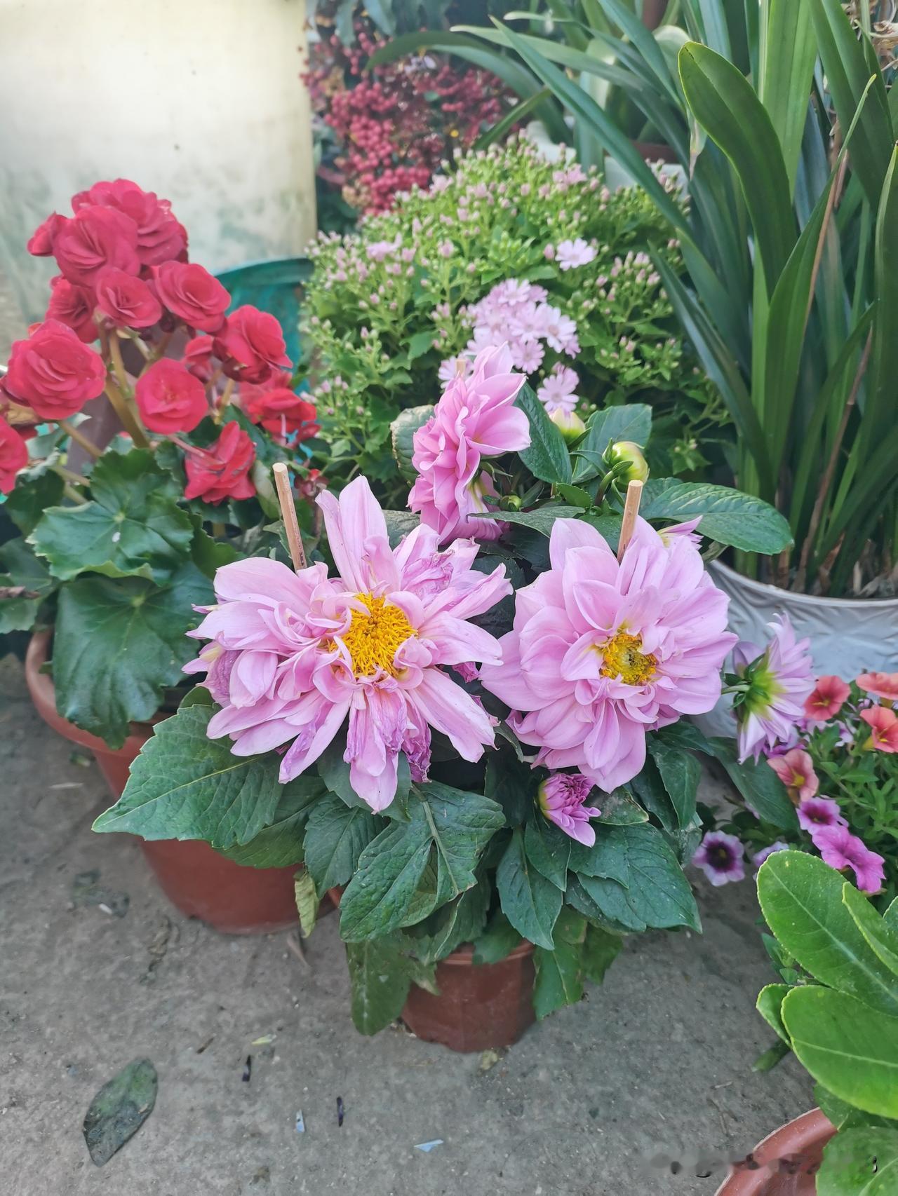 自己一错再错，害了自己，也害了孩子，如果可以重来，她会选择独自安好。有个朋友3