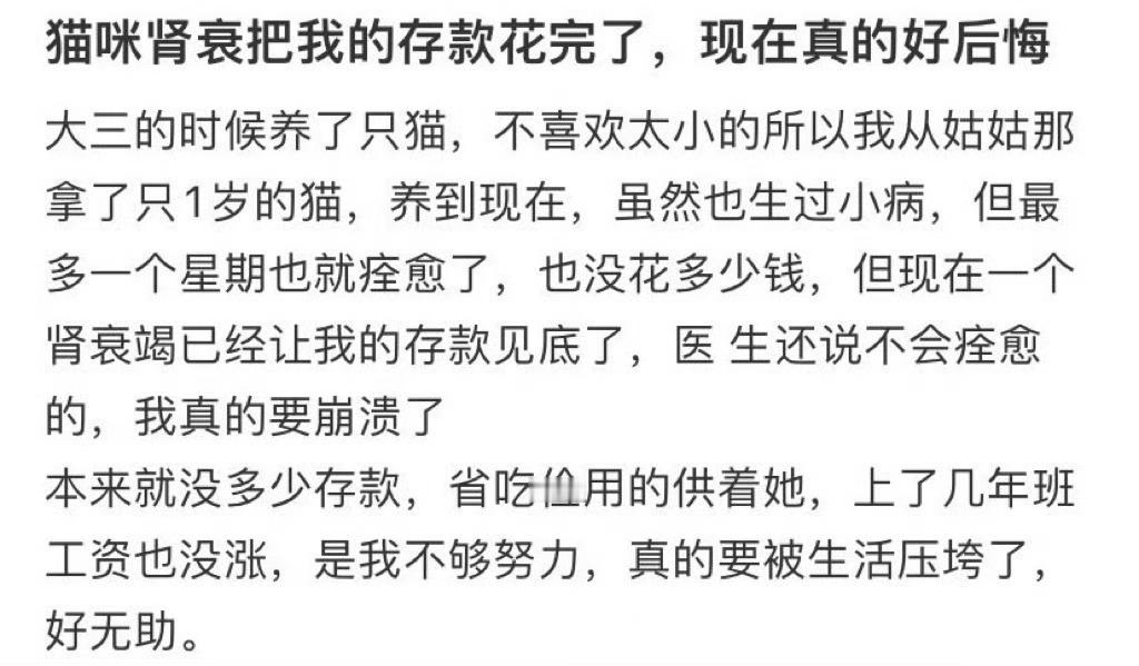 猫咪肾衰把我的存款花完了，现在真的好后悔生病了忘了跟小猫请假​​​