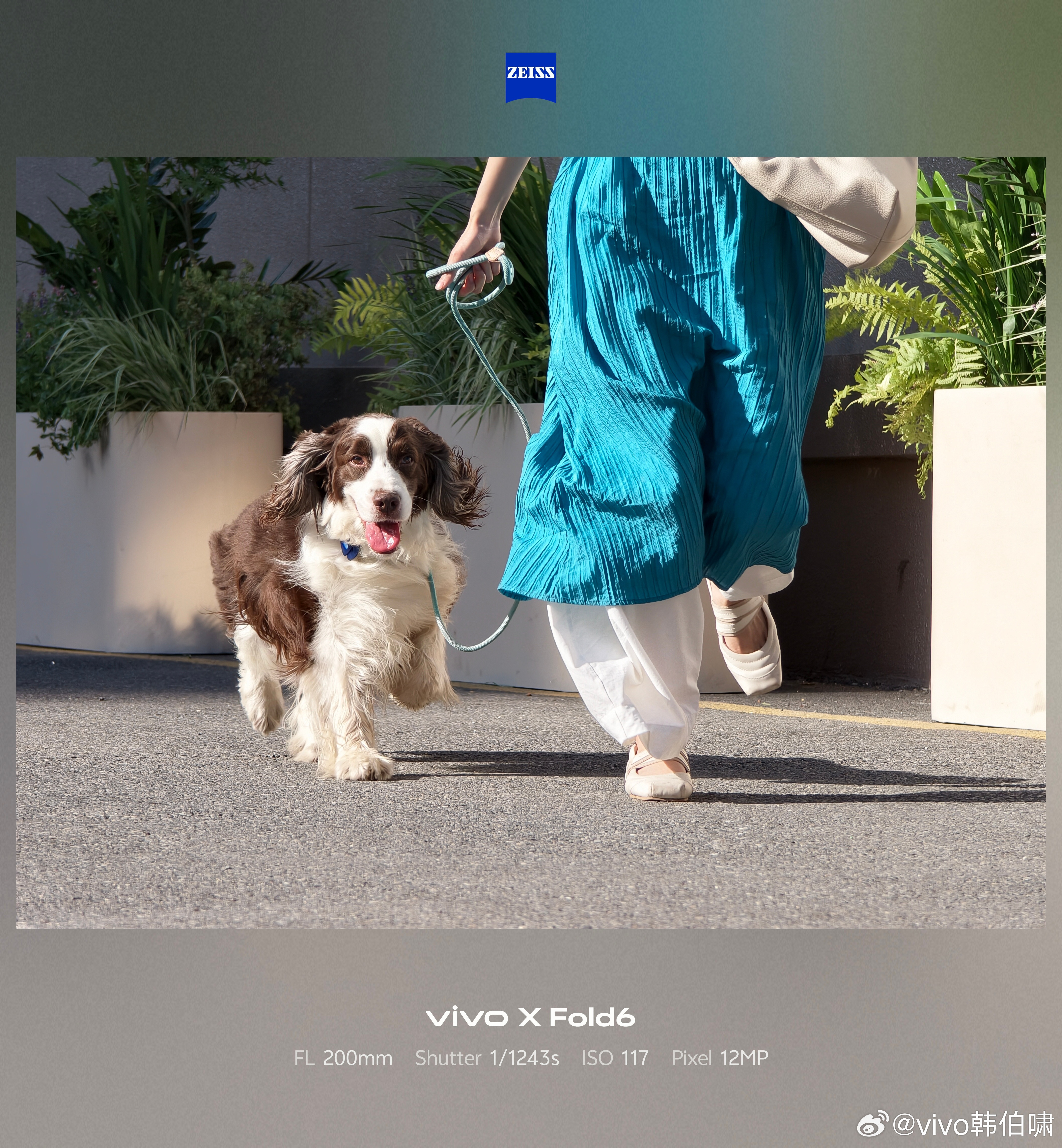 【机圈信息差】vivoXFold6的样片来了，大家感受一下23mm的2亿主摄