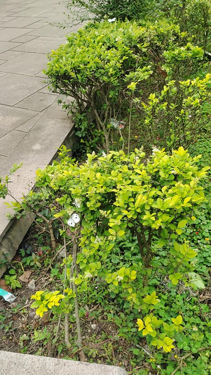 成都人朋友圈热传的“脾气双标定律”，看完我直接对号入座了最近和朋友在奎星楼吃冒