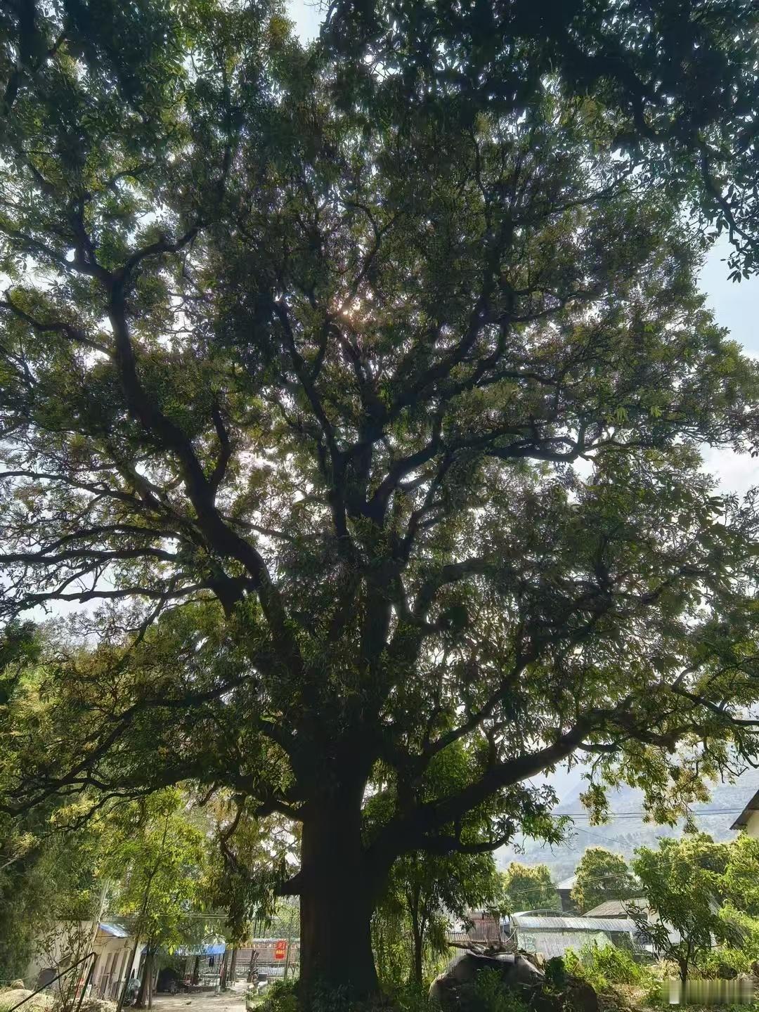 远离城市的喧嚣和浮躁，放慢脚步，静静享受山野的那一份自然与宁静。