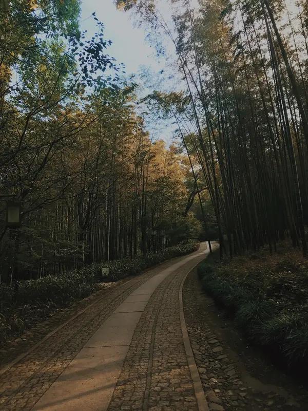 上联：松窗静坐听泉响；下联：竹径漫步观鹭飞。