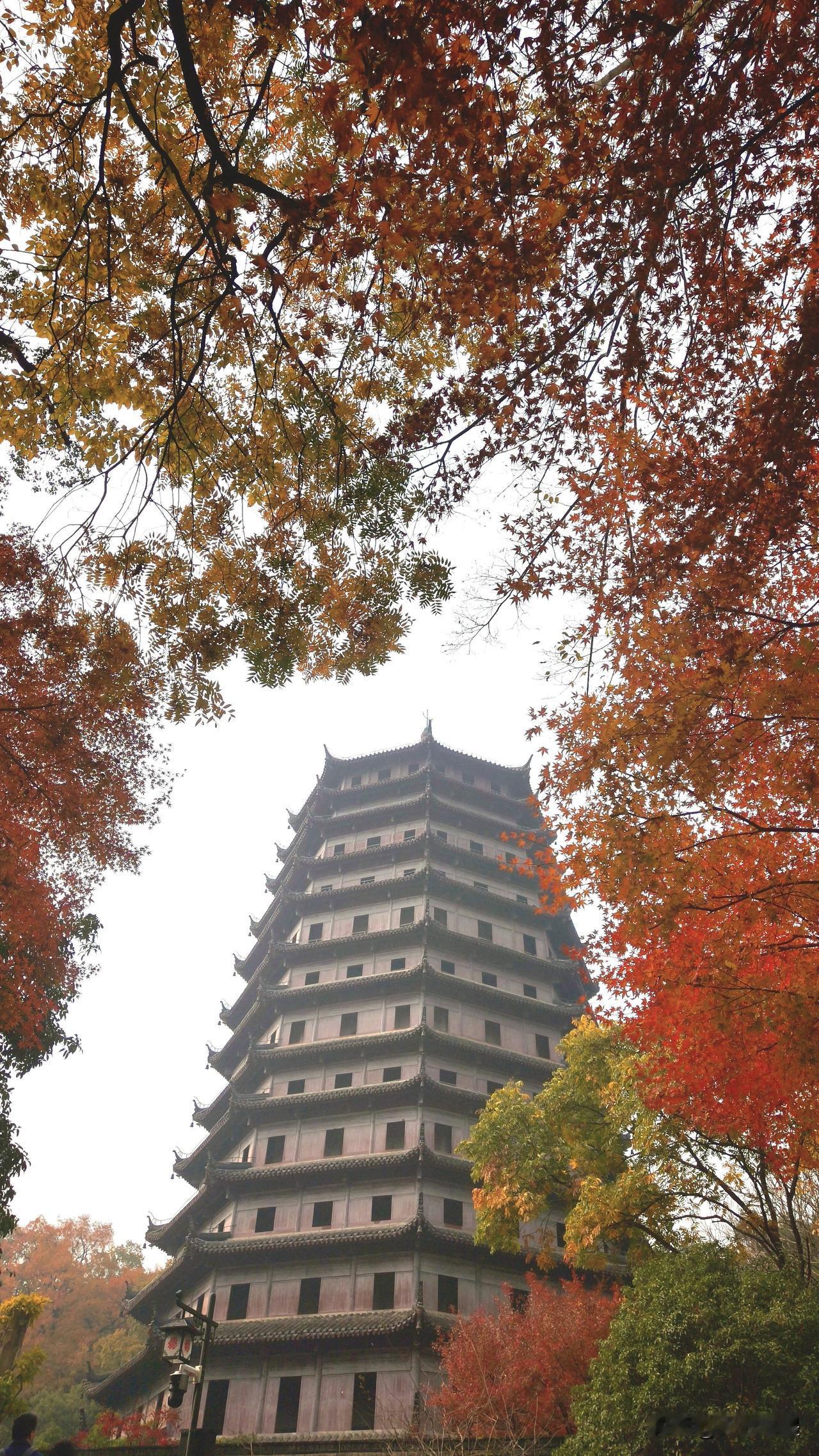 夏天一窗一美女，火到没边的六和塔，进入秋季又落寞下来，人们都挤在九溪虎跑太子湾，