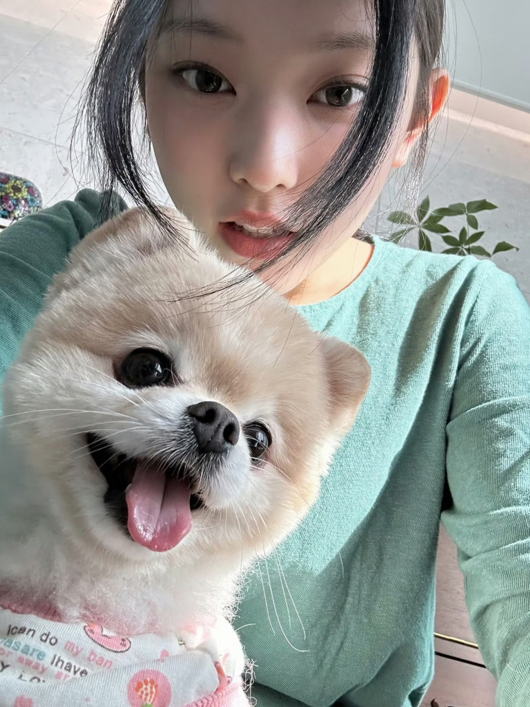 Haerin小猫小狗🐱🐶​​​