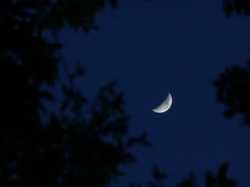 我记得最深的古诗词是李白的《将进酒》。“将进酒，杯莫停”，开篇就营造出热烈奔放的