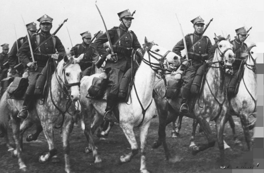 1929-1936年间，华沙曾经拨款2600万兹罗堤用于布列斯特要塞的修建工作，