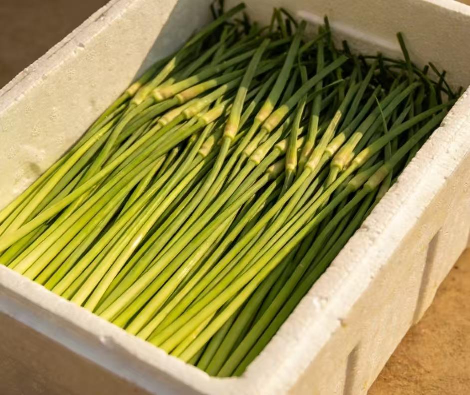 反季节的蔬菜究竟能不能吃？今天到弟媳妇家去玩，见她的脸是肿的，就问她是不是牙疼，