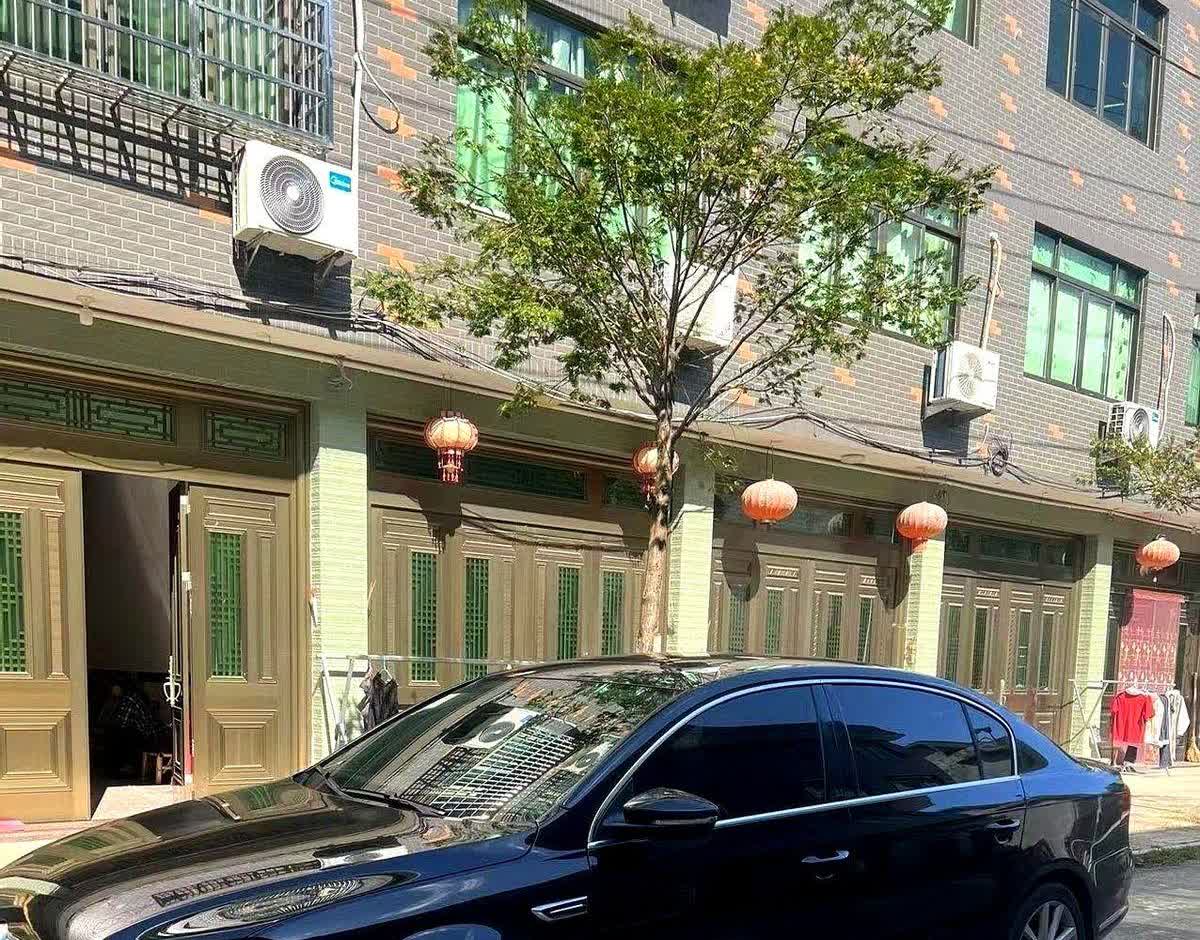 千万别跟风买混动车。我一个哥们儿买了插混车，现在肠子悔青了。本来