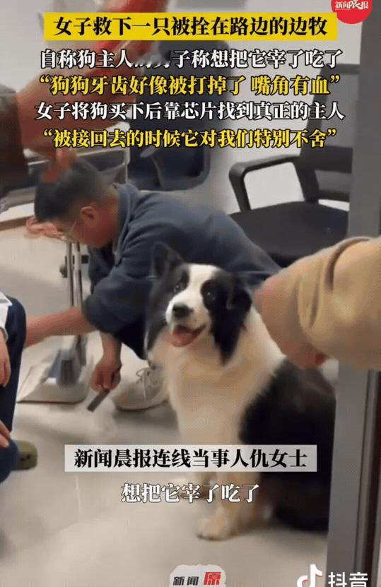 遇上好心人了！江苏苏州，仇女士遇到一只要被宰杀的狗狗，她花了500元买下了。带到