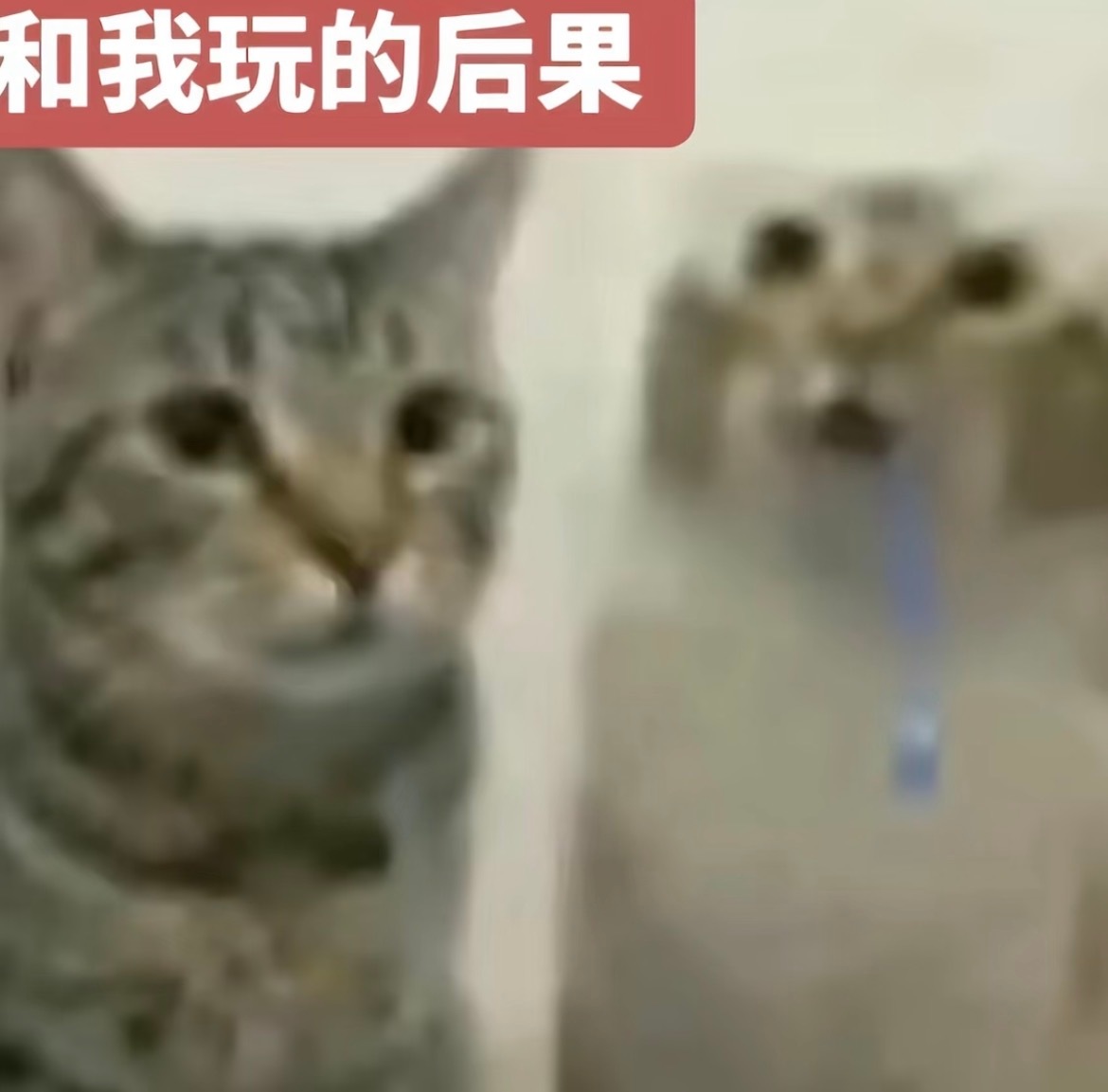 对不起这就是和我玩的后果