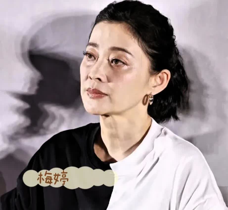 梅婷为什么这么显老？眼部岁月痕迹太明显了！梅婷才50岁而已，可最新露面状态太让人