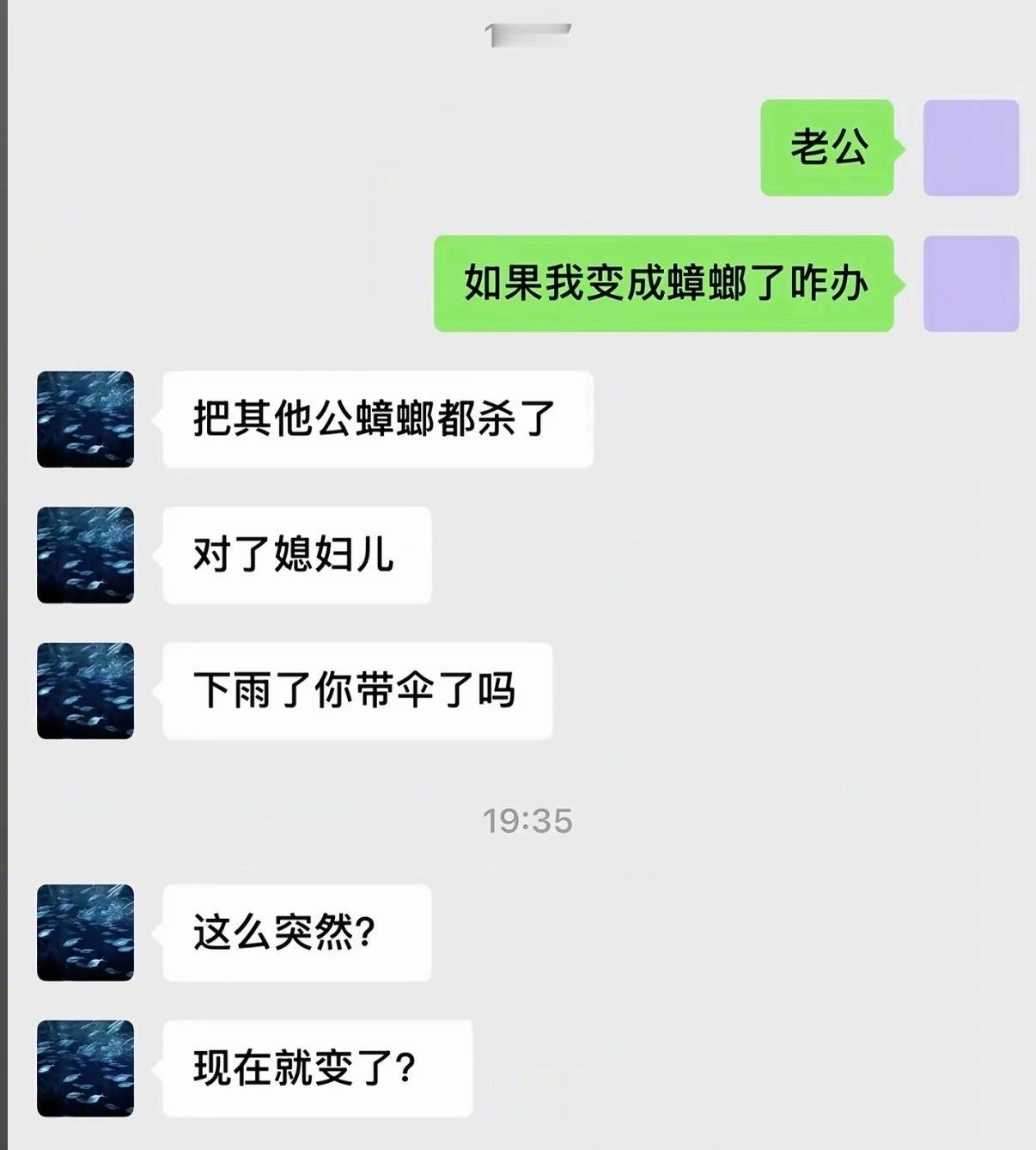 谁懂这种冷不丁的幽默……