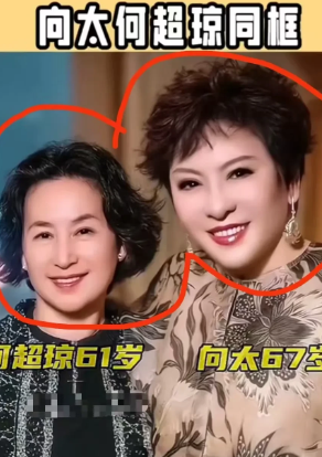 实在是没看明白何超琼这是36计哪一计呢？竟然让自己名下的赌场，起诉向太的大