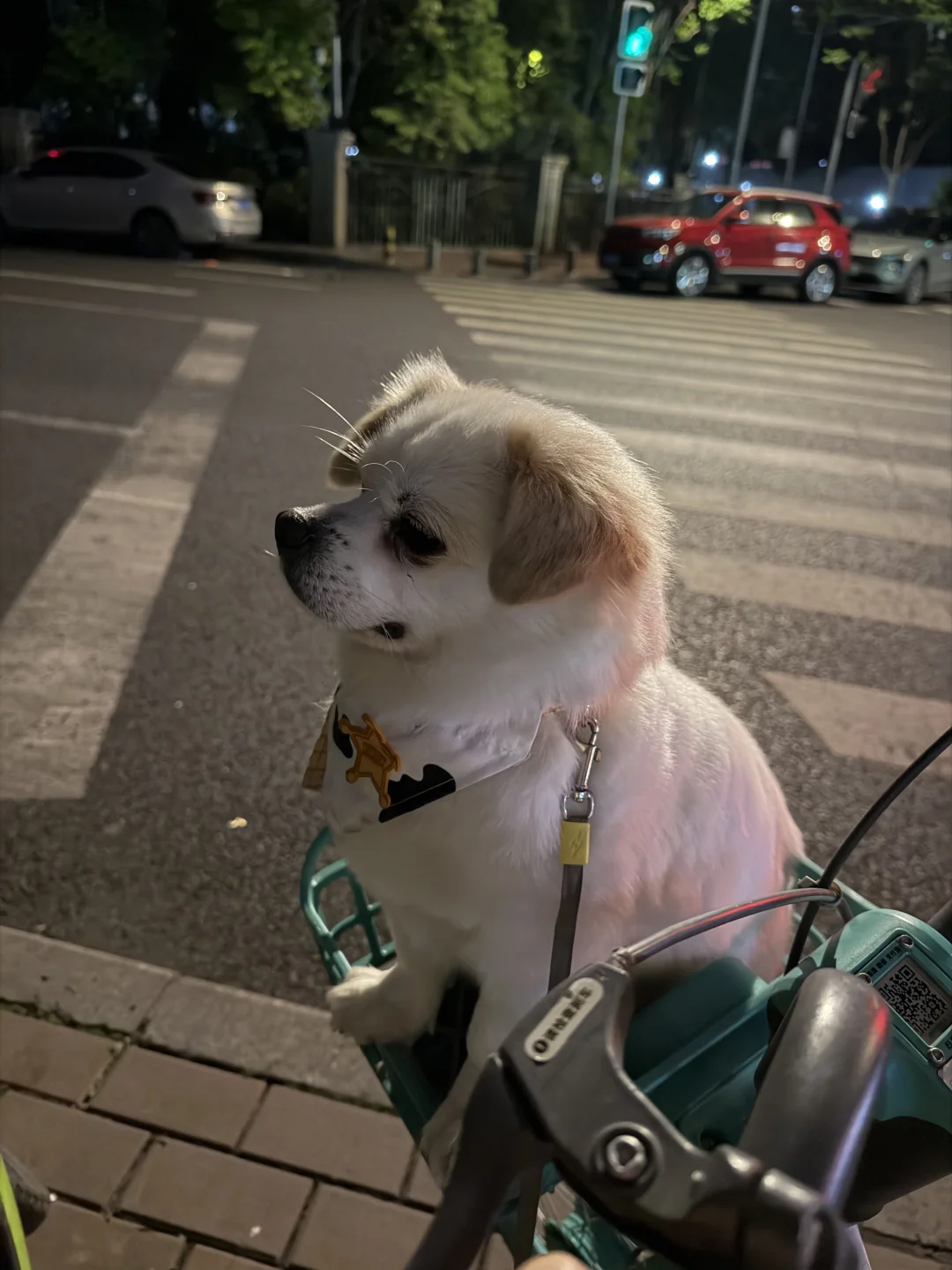 “我现在可是男明星，抱朕下车”