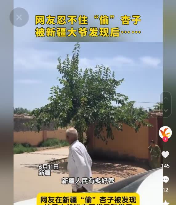 笑岔气了！6月11日，男子去新疆旅游，偷吃大爷家杏子，不料，被大爷发现，本以为大