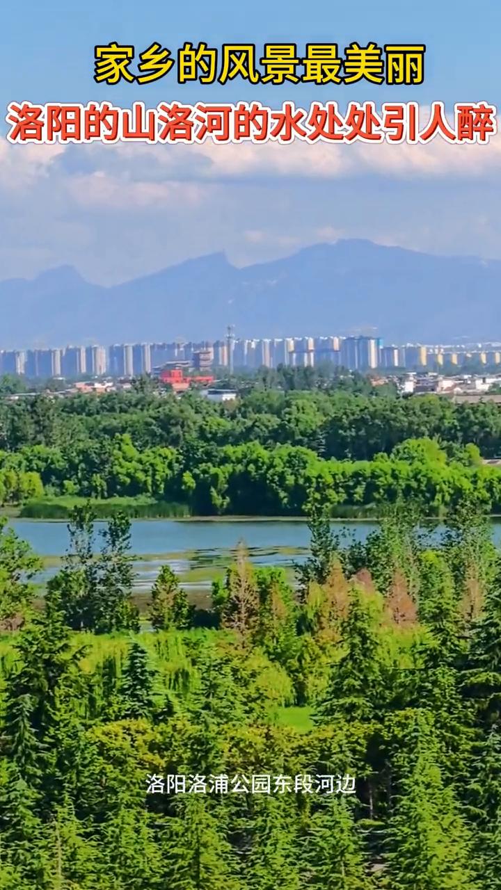 家乡的风景最美丽，洛阳的山洛河的水处处引人醉。洛阳洛浦公园东段河边。