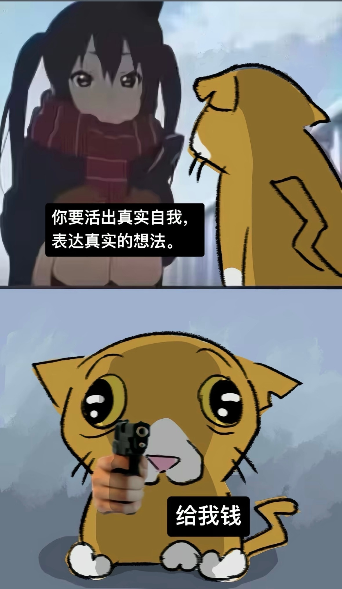 我的真实想法：​​​