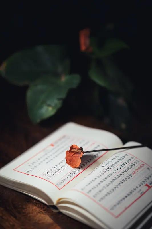 上联：腹有诗书神自逸；下联：胸怀锦绣气如虹。