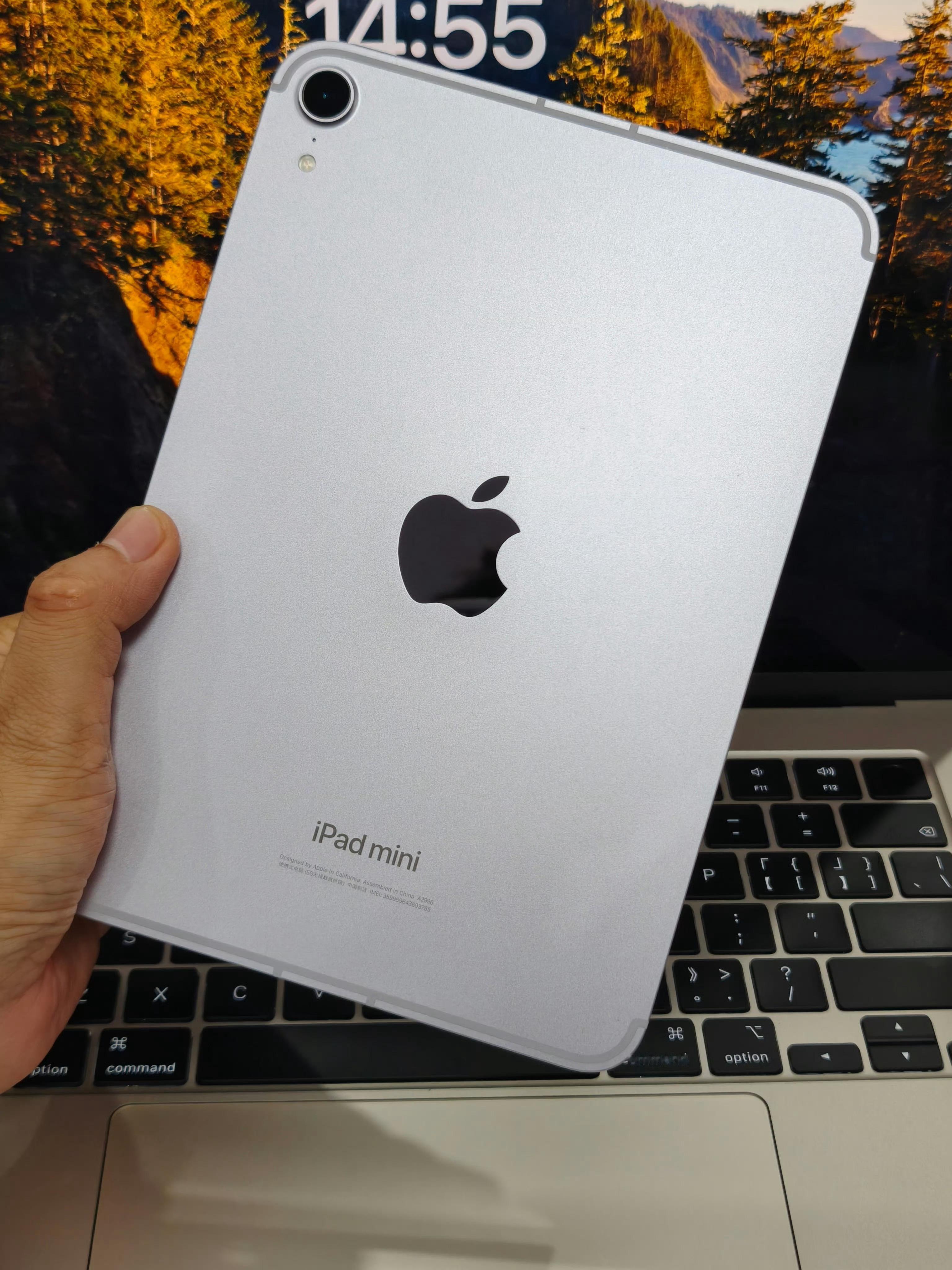 iPad中国市场份额大跌年初买的iPadmini7本来想着看看电子书、刷刷视