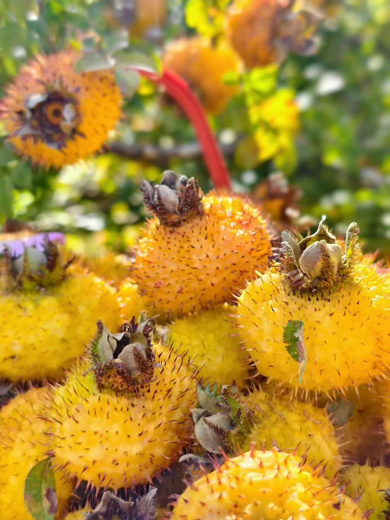股市这东西，有时候真像个大型“财富转移机”。表面上看，K线起起伏伏，机会好像对谁