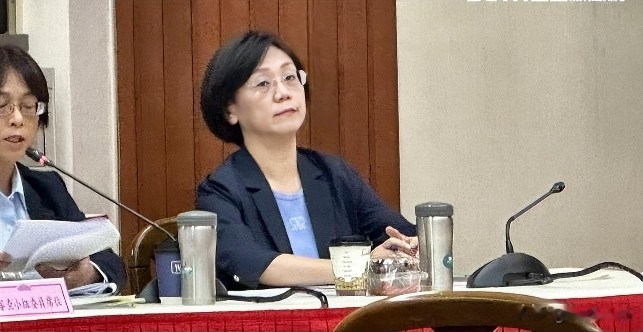 被网友造谣“把提案资料交付对岸”　翁晓玲呛不宽待：直接送刑事局国民党立委翁晓