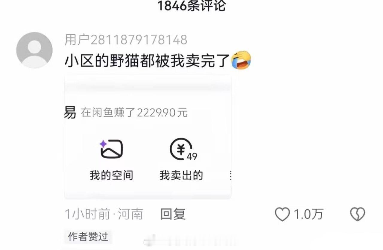啊……这也行？挺好的，也算是做了好事了，给野猫找到家了