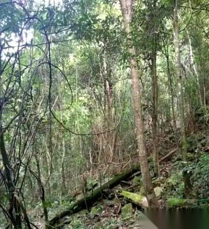 都说真要打起来，就往山里跑，十个能活八个。但1945年冲绳战役的档案，一页页翻