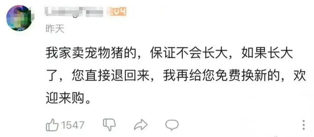 这生意包赚不赔，还是“良心商家”