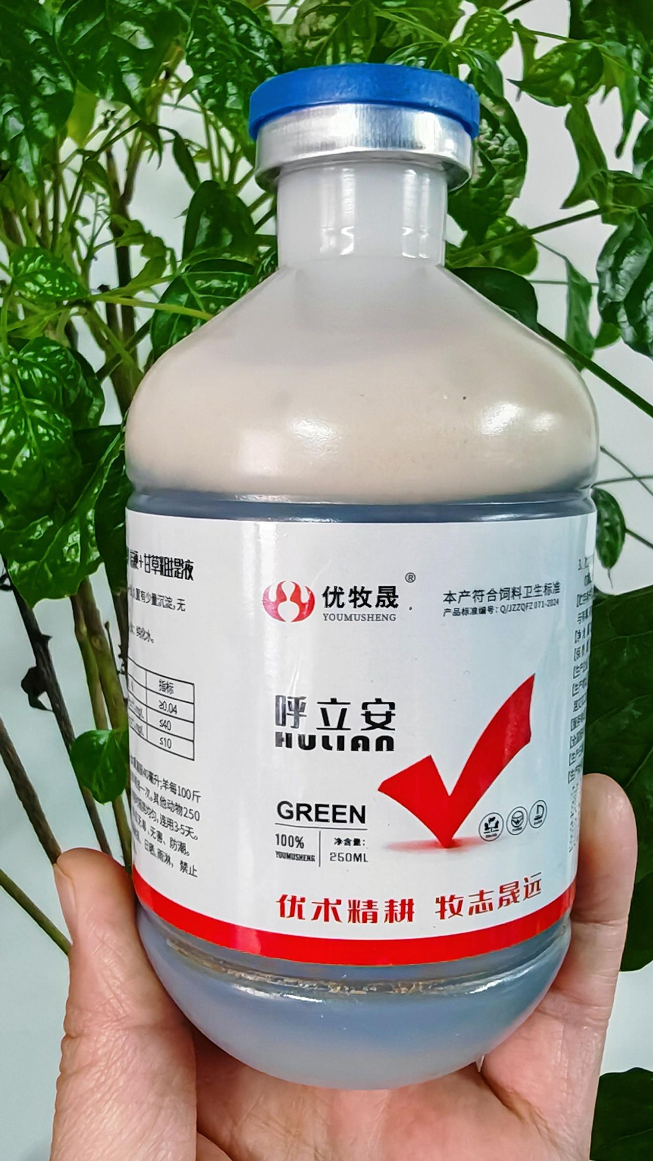 养羊人农村养羊牛羊养殖