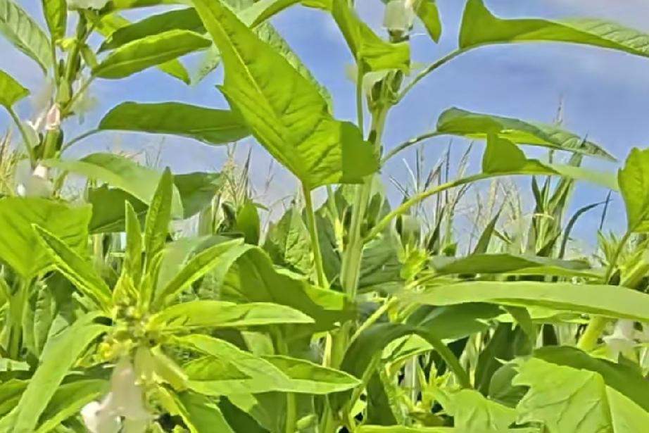 如果你实在放不下她，你不如看一下这段话，或许你就能释怀了。如果你很喜欢他，他