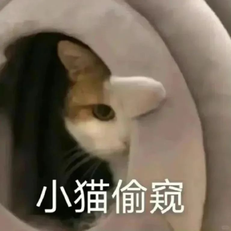 一些偷感贼重的表情包