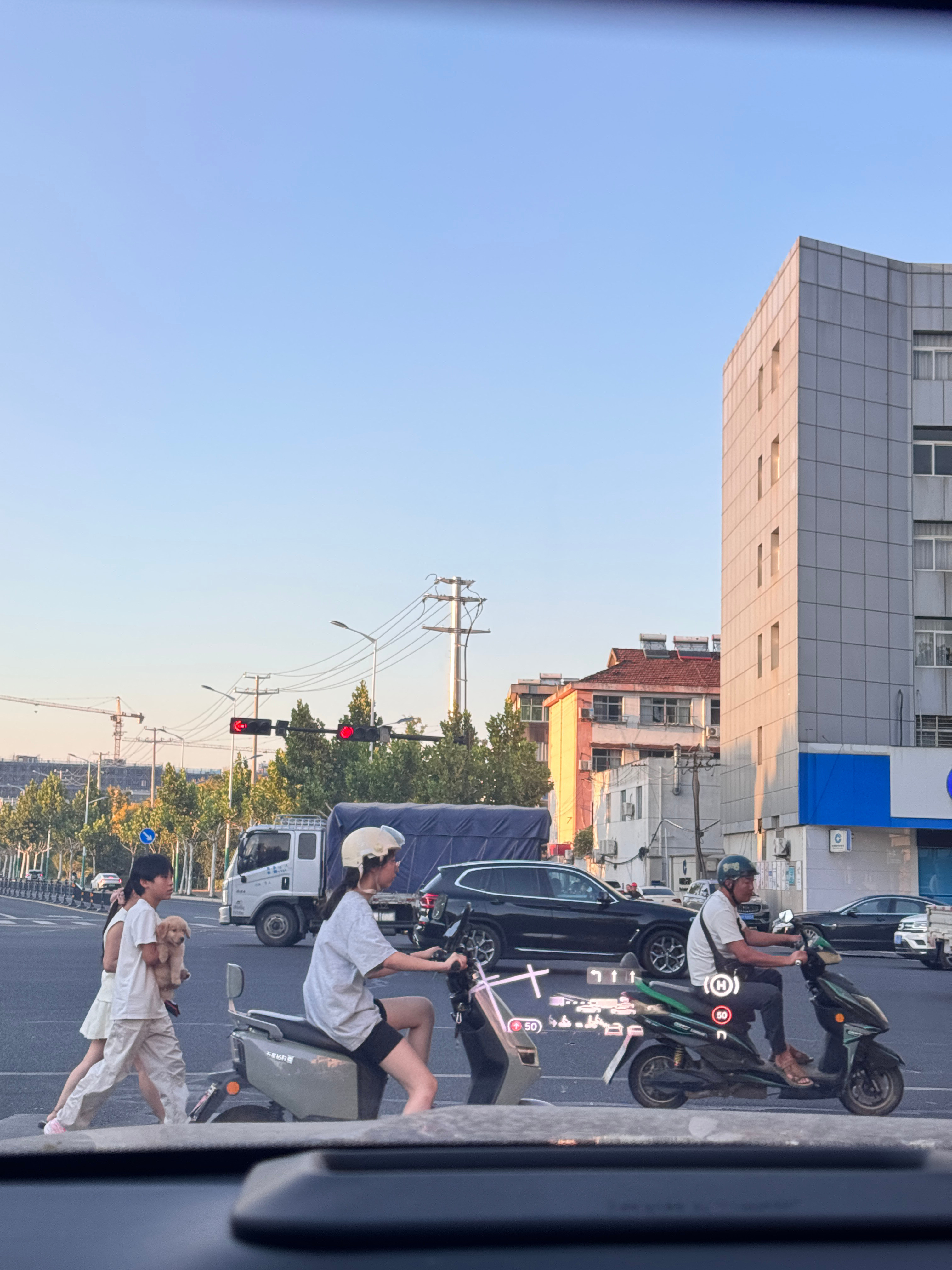 等红灯遇到可爱小金毛前天晚上散步遇到热情金毛父子​​​