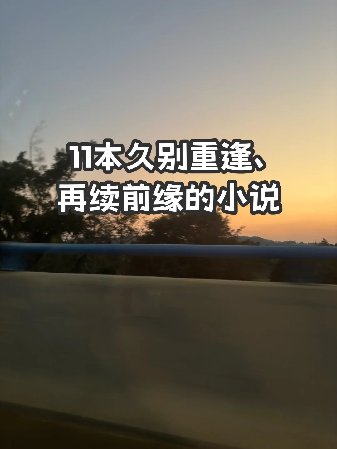 11本久别重逢、再续前缘的小说