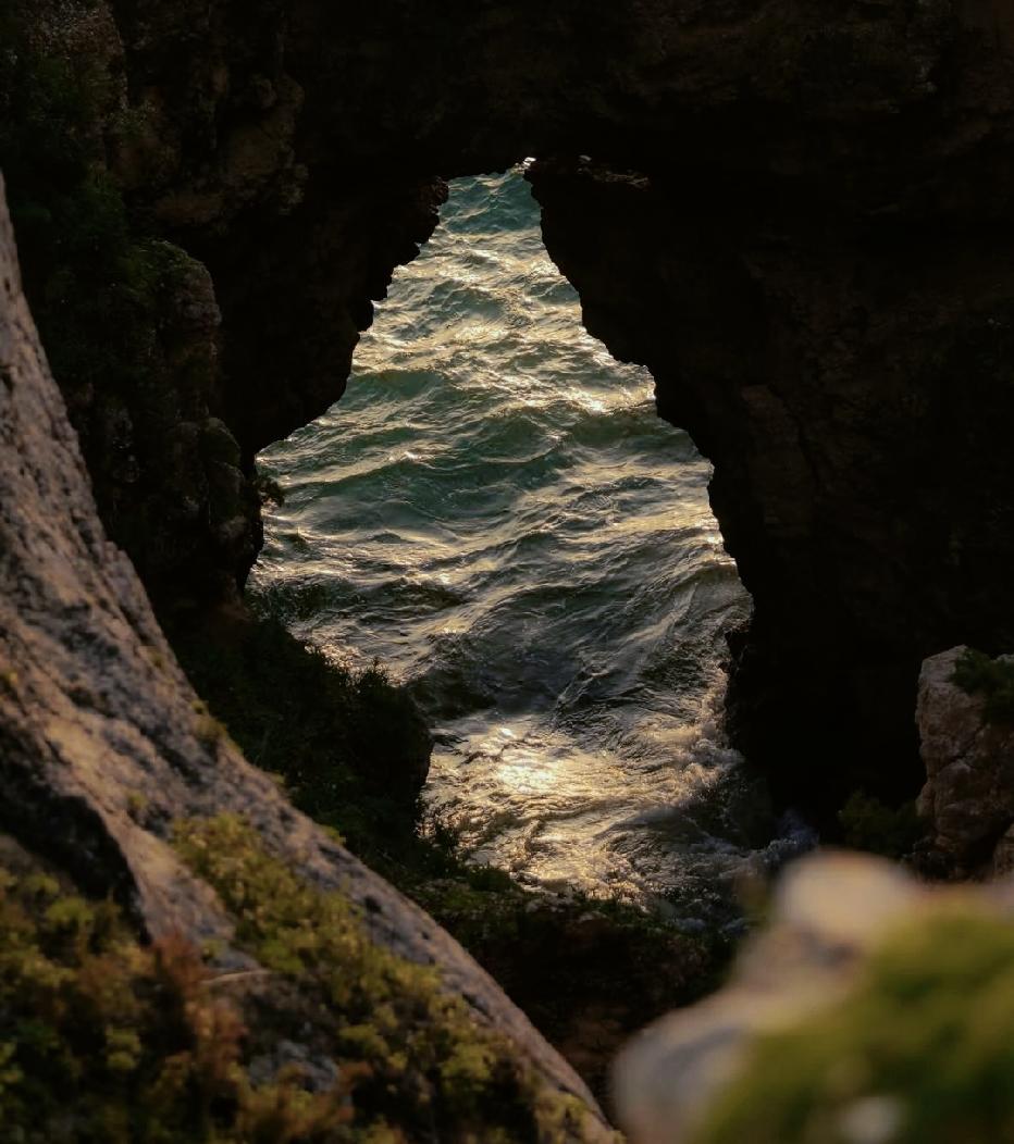 很认同的一段话：“人，身体好的时候，有100个烦恼。身体不好的时候，就只有一个