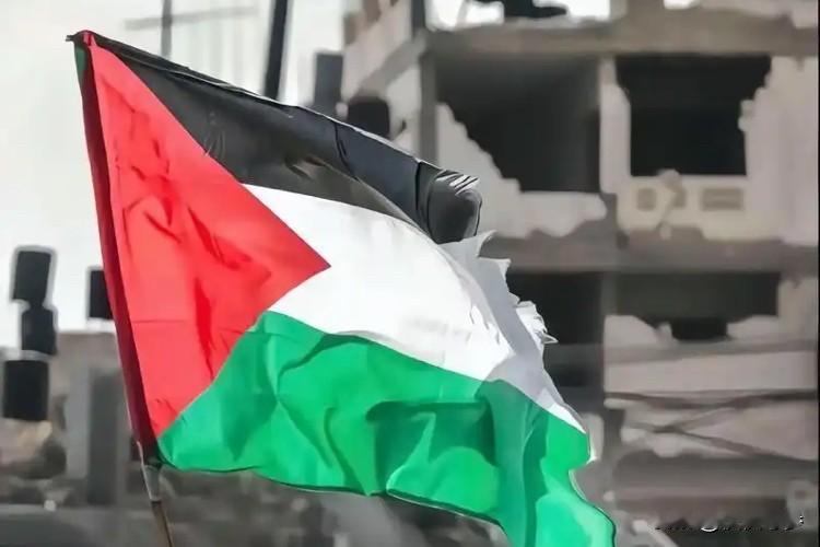 中方将向巴勒斯坦提供1亿美元援助，并且当着马克龙面说了出来，笔者认为，有三重深意