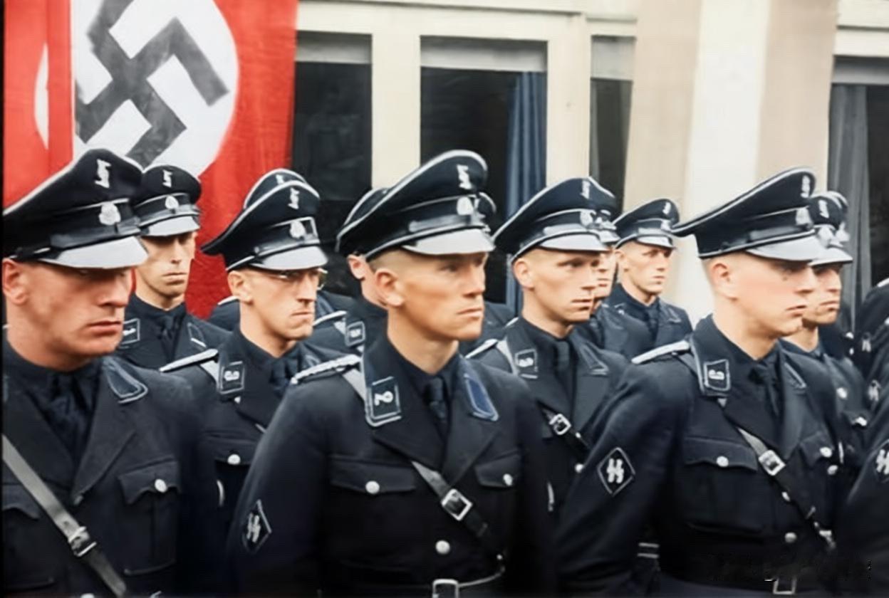 “尼德兰斯”本土防卫队，亦称“尼德兰国土风暴”本土防卫队，是后来组建的武装党卫军