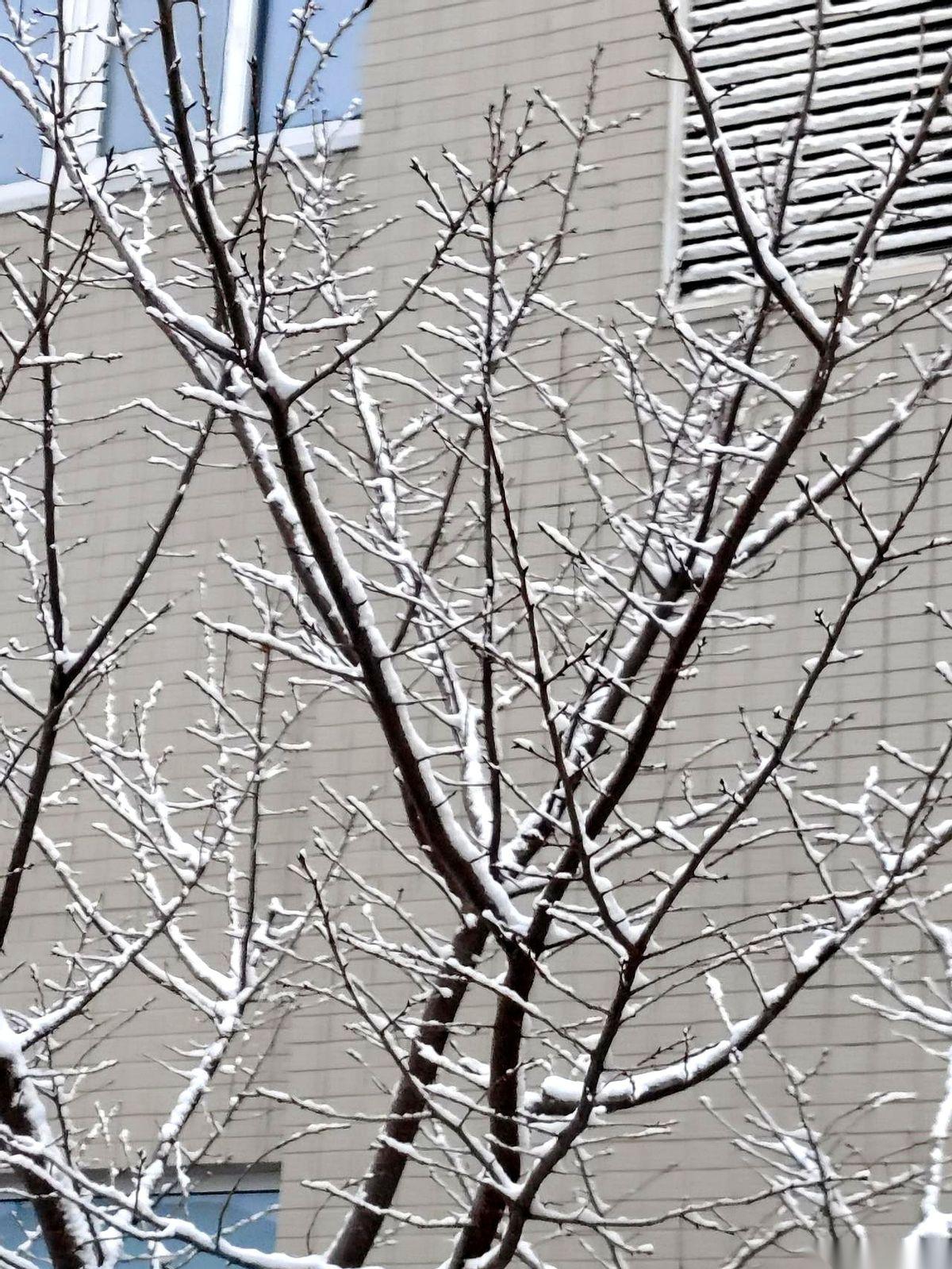 医生说，熬过这个冬天就成。我当时就想问问他，什么叫“熬”？拿什么熬？拿我七十